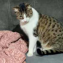 Thumbnail photo of Buddy #2