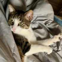 Thumbnail photo of Buddy #4