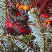 Thumbnail photo of Ducky #4