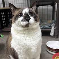 Thumbnail photo of Tip fka Phobie #1