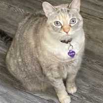 Thumbnail photo of Lexi #1