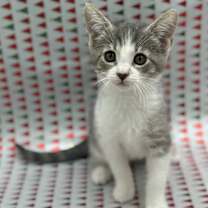 Thumbnail photo of Betty #1