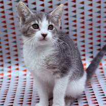 Thumbnail photo of Betty #2