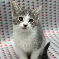 Thumbnail photo of Betty #3