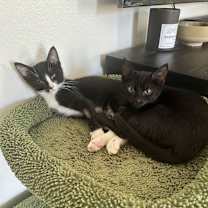 Thumbnail photo of George #3