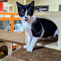 Thumbnail photo of Gina #2