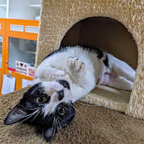 Thumbnail photo of Gina #3