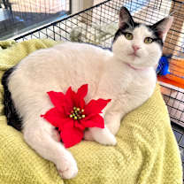 Thumbnail photo of Elaine #1