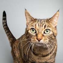 Thumbnail photo of Elizajane #1