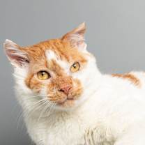 Thumbnail photo of Lloyd #1