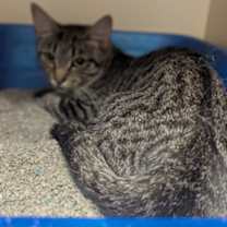 Thumbnail photo of May #2