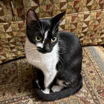 Thumbnail photo of Penelope* #1