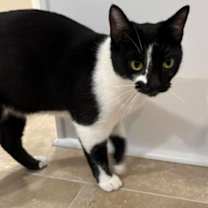 Thumbnail photo of Penelope* #3