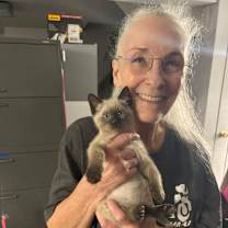 Thumbnail photo of Polarbear #3