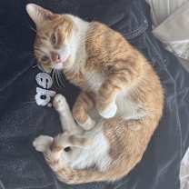 Thumbnail photo of Oliver #3