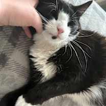 Thumbnail photo of Luke #2