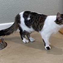 Thumbnail photo of Stella #2