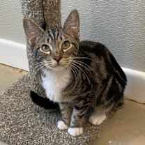 Thumbnail photo of Rowena #1