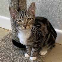 Thumbnail photo of Rowena #2