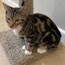 Thumbnail photo of Rowena #3