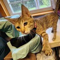 Thumbnail photo of Spunky #2