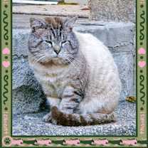 Thumbnail photo of Mack #2