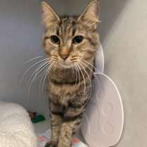 Thumbnail photo of Katy #1