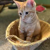 Thumbnail photo of Billy #2