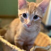 Thumbnail photo of Billy #4