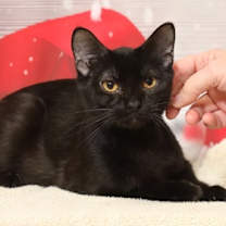 Thumbnail photo of Mische FKA Mom 2 #1