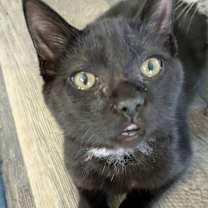 Thumbnail photo of Gary #2