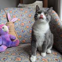 Thumbnail photo of Tweek (Everyones friend) #2