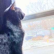 Thumbnail photo of Midnight #2