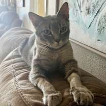 Thumbnail photo of Tilt #1