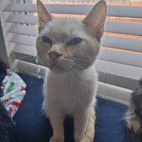 Thumbnail photo of Charles #1