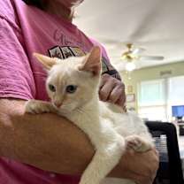 Thumbnail photo of Charles #2