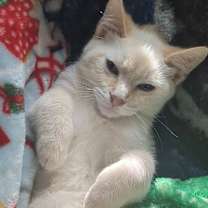 Thumbnail photo of Charles #3