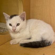 Thumbnail photo of Snow #2