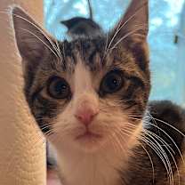 Thumbnail photo of Skye #3