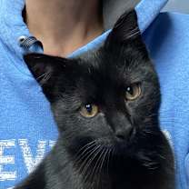 Thumbnail photo of Bob #2