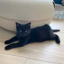 Thumbnail photo of Bob #4