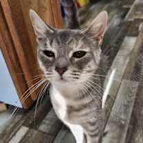 Thumbnail photo of Oceania #2