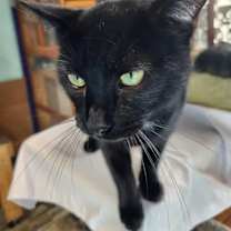 Thumbnail photo of Peak #2