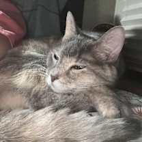 Thumbnail photo of Nikki #4