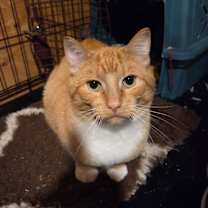 Thumbnail photo of Von #1