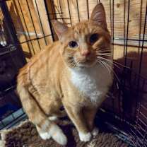 Thumbnail photo of Von #3