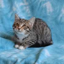 Thumbnail photo of Freckles #3