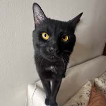 Thumbnail photo of Gary #1