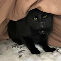 Thumbnail photo of Gary #2