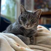 Thumbnail photo of Faygo #1